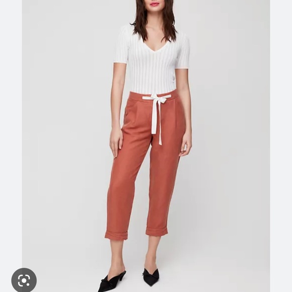 Aritzia Pants - Aritzia Wilfred terracotta pants